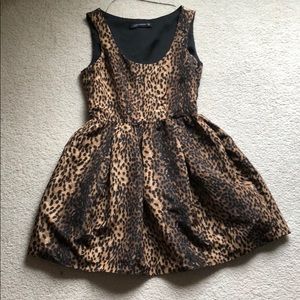 Leopard Print Zara Cocktail Dress